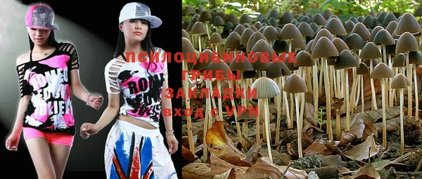 PSILOCYBIN Арсеньев