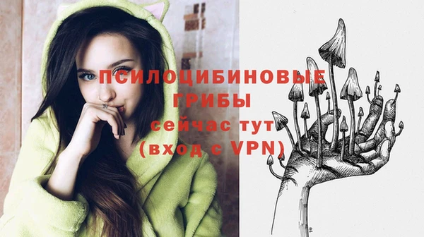 ПСИЛОЦИБИНОВЫЕ ГРИБЫ Армянск