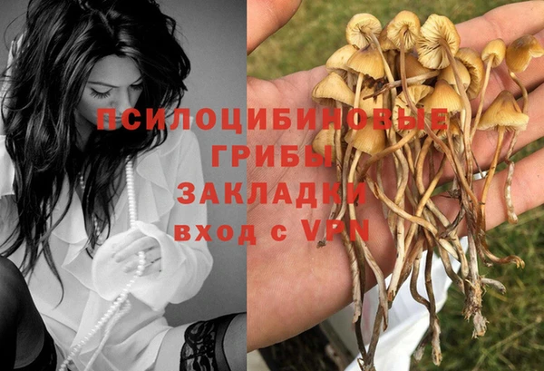 мескалин Балахна